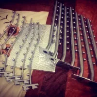 رگال تیله ای یا رگال ساچمه ای