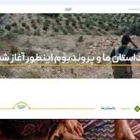 طراحی سایت وردپرسی فروشگاهی،خبری،شرکتی  تحویل سریع|خدمات رایانه‌ای و موبایل|شیراز, قدوسی غربی|دیوار