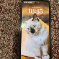 شیامی نوت ۱۳|موبایل|تهران, نعمت‌آباد|دیوار