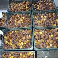 فروش ویژه رطب طلایی