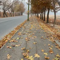 اجاره خانه مسکونی