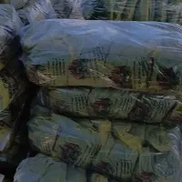 ذغال کبابی