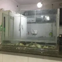 آکواریوم