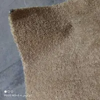 موکت کبریتی ۱۸ متری و پالاز موکت۹ متری|موکت|محمودآباد, |دیوار
