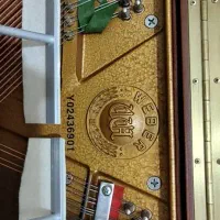 پیانو آکوستیک|پیانو، کیبورد، آکاردئون|تهران, امانیه|دیوار