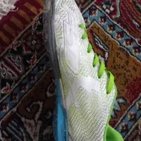 کفش فوتبال اف ۵۰|کیف، کفش، کمربند|تهران, ایرانشهر|دیوار