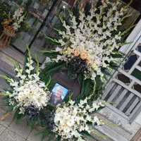 گلفروشی طبیعی. مصنوعی .اپارتمانی|گل و گیاه طبیعی|رودسر, |دیوار