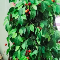 درختچه مصنوعی گیلاس