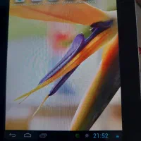 تبلت|تبلت|تهران, دردشت|دیوار