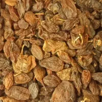 کشمش مویز آفتابی|خوردنی و آشامیدنی|نجفآباد, حومه نجف آباد|دیوار