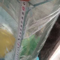 اکواریوم|ماهی|شیروان (خراسان), |دیوار