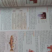 کتاب کنکور زیست|کتاب و مجله آموزشی|ملارد, |دیوار