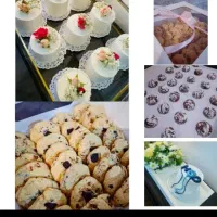 انواع کیک و شیرینی وسفارش بالا
