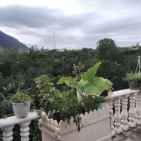 ویلا اجاره ای