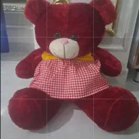 خرس مخملی قرمز