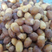 رطب|خوردنی و آشامیدنی|بوشهر, |دیوار