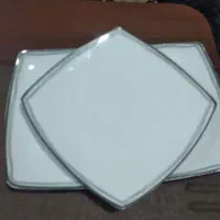 ظرف چینی