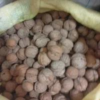 فروش گردو وبادام|حراج|قوچان, |دیوار