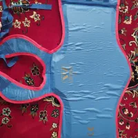 هوگو ووشو (ساندا)