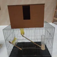 قفس عروس هلندی|لوازم جانبی حیوانات|تهران, جوادیه|دیوار