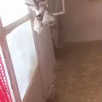 احمدیه اجاره خانه ویلایی ۵۰متری دارای زیر زمین|اجارهٔ خانه و ویلا|اسلامشهر, شهرک احمدیه|دیوار