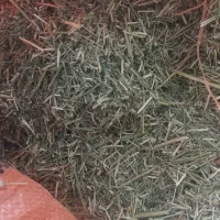 فروش جو یونجه چاپر سبوس و...|لوازم جانبی حیوانات|لردگان, |دیوار