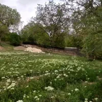 باغ زمین|فروش زمین و ملک کلنگی|خرقان, |دیوار