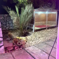 باغ ویلا|اجارهٔ کوتاهمدت ویلا و باغ|خرمشهر, |دیوار