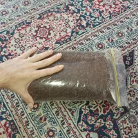 خاک حیوانات،کودگرانول،هیومیک،آمینواسید،کودآهن