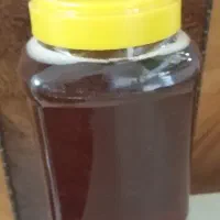عسل طبیعی و کوهستانی و کوهی|خوردنی و آشامیدنی|تهران, امام حسین|دیوار