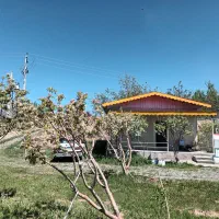 ۱۴۰۰ متر باغ مثمر ۱۲ ساله در آونلیق|فروش زمین و ملک کلنگی|کندوان, |دیوار