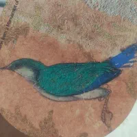 یوگا و مدیتیشن پرنده ی آبی (خصوصی و گروهی)