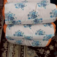 بالش