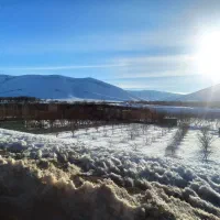 هدیه بلو بانک