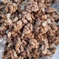 گردو ارگانیک و خوشمزه الموت|خوردنی و آشامیدنی|محمدیه-قزوین, |دیوار