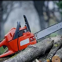 خریددرخت خریدچوب برش چوب خریدچوب کهنه وهرس|خدمات باغبانی و درختکاری|تبریز, |دیوار