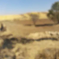 زمین کشاورزی ۲هکتارآبی|فروش زمین و ملک کلنگی|کوزران, |دیوار