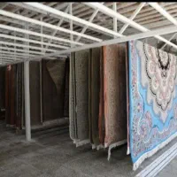 قالیشویی،گیشا،جهان ارا،شهرک غرب،یوسف آباد