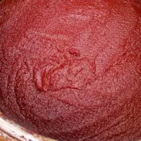 رب خانگی درجه۱