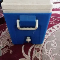 کلمن بزرگ و اسکیت برد