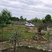 خدمات باغبانی ،هرس و غیره|خدمات باغبانی و درختکاری|اسالم, |دیوار