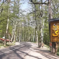 استخدام نیروی کار