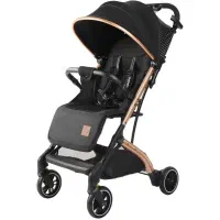 کالسکه بائو بائو