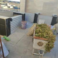 استابنا هستم