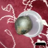 فروش سنگ درمان یا پادزهر