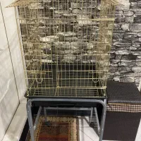 قفس پرنده نو