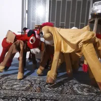 الاغ پولیشی
