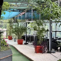 استخدام خدماتی در هتل(با خوابگاه و۳وعده غذا)