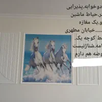 نو خ ا ن ه