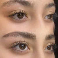 نیازمند مدل میکروبلیدینگ برای مسابقات جهانی ولوپ